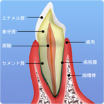 加齢